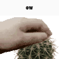 BoperC7